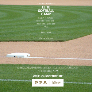 2019softballcamp